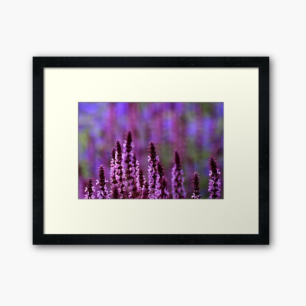 What The Impressionists Saw Framed Art Print