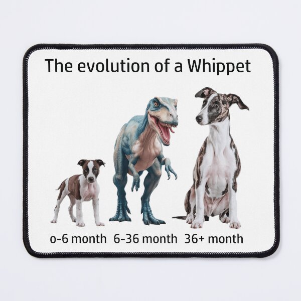Item preview, The Evolution of a Whippet designed and sold by Ranout.