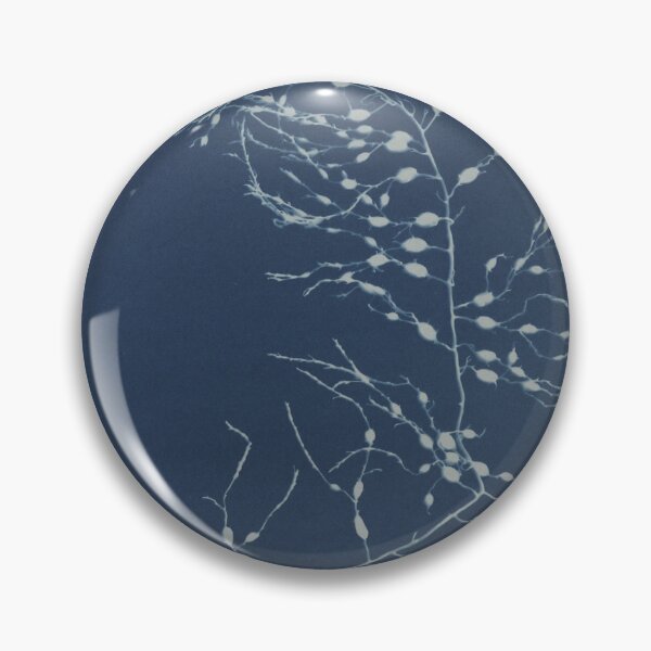 Item preview, Cystoseira fibrosa British algae designed and sold by generalbonkers.