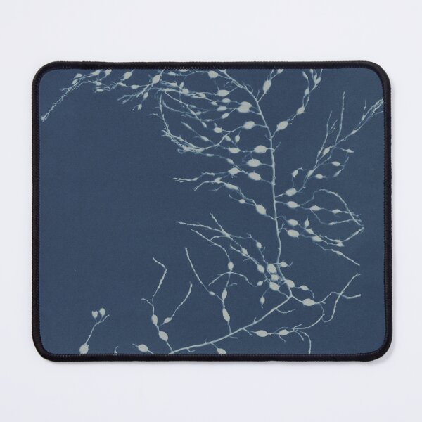 Item preview, Cystoseira fibrosa British algae designed and sold by GeneralBonkers.