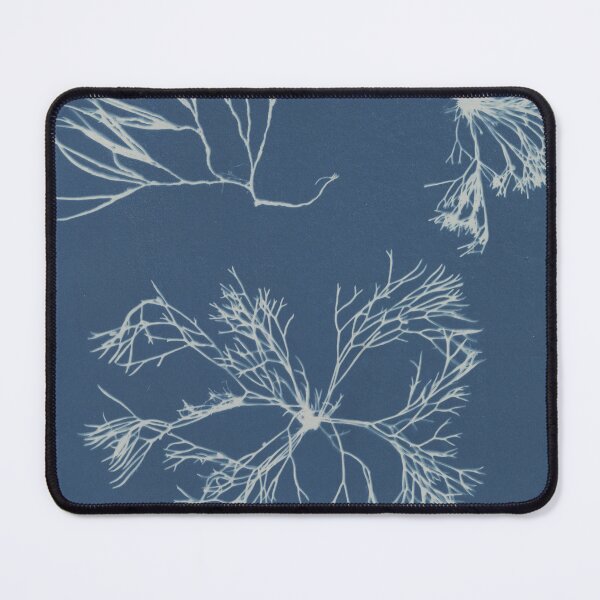 Item preview, Furcellaria fastigiata British algae designed and sold by generalbonkers.