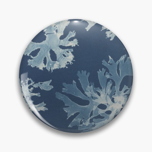 Item preview, Rhodomenia laciniata British algae designed and sold by generalbonkers.