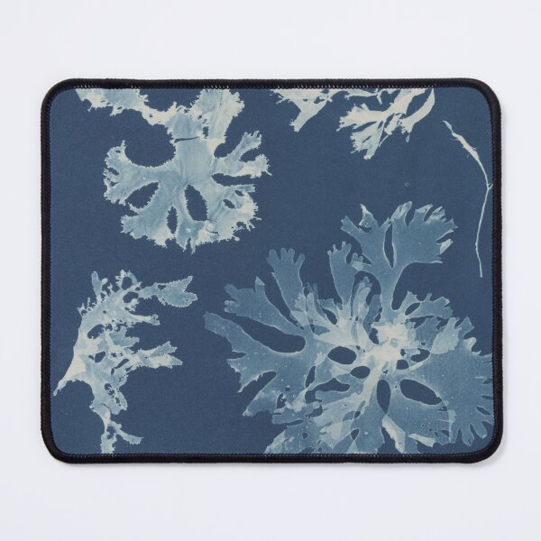 Item preview, Rhodomenia laciniata British algae designed and sold by GeneralBonkers.