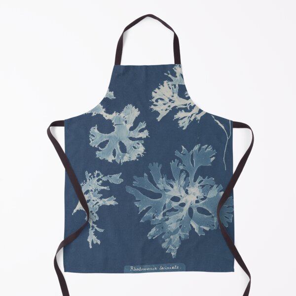 Item preview, Rhodomenia laciniata British algae designed and sold by generalbonkers.