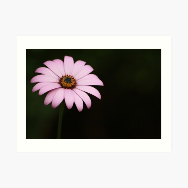Remember Me Art Print