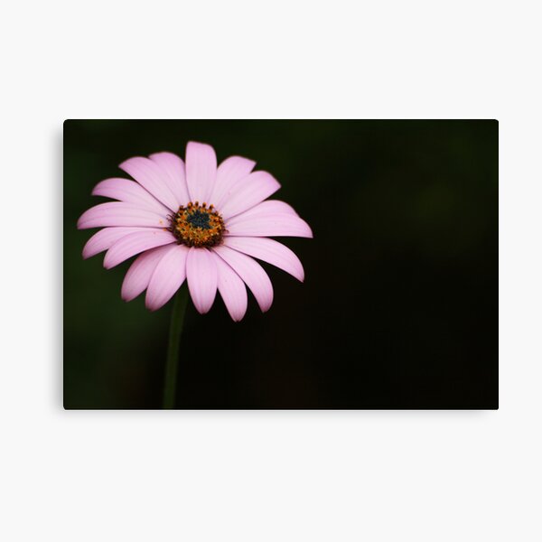 Remember Me Canvas Print