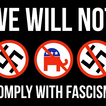 Artwork thumbnail, We will not comply by Rachel the Artist