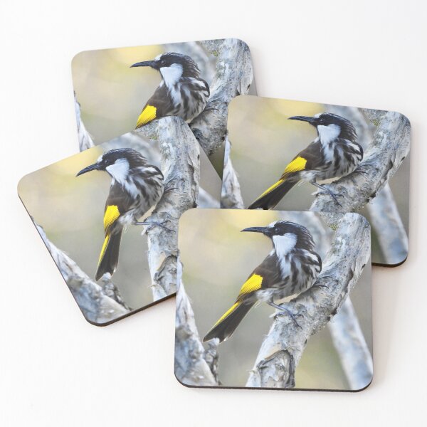 Item preview, White-Cheeked Honeyeater  Lake Mckenzie K'gari designed and sold by Mark Grimsley.