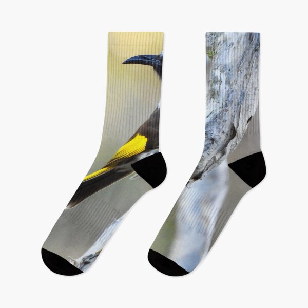 Item preview, White-Cheeked Honeyeater  Lake Mckenzie K'gari designed and sold by Mark Grimsley.
