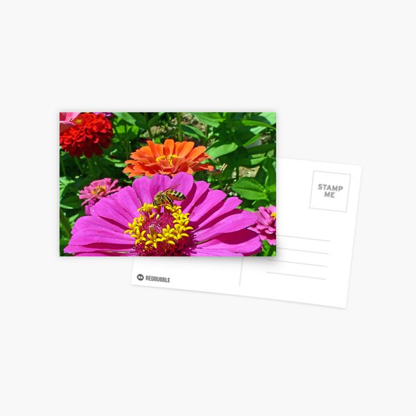 Item preview, Happy Honeybee designed and sold by Frankie Cat Photography.