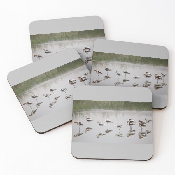 Item preview, American Avocets designed and sold by CarolM.