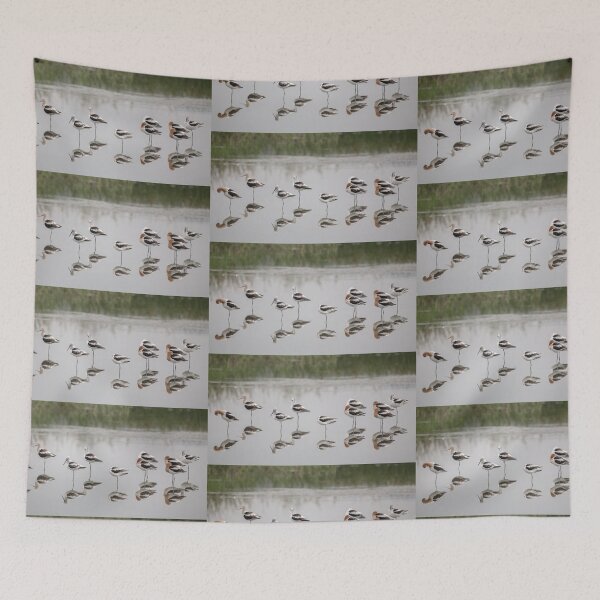Item preview, American Avocets designed and sold by CarolM.