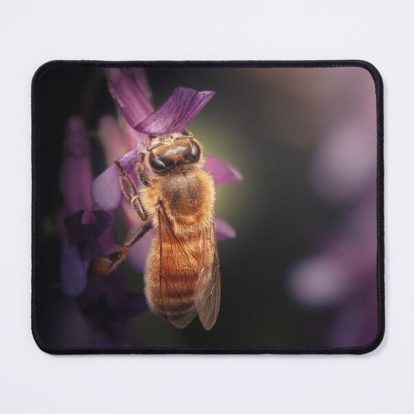 Item preview, European Honey Bee Pollinating designed and sold by robdwildlife.