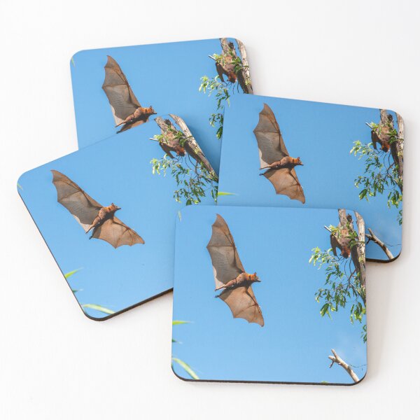 Item preview, Grey-headed Flying Fox designed and sold by robdwildlife.