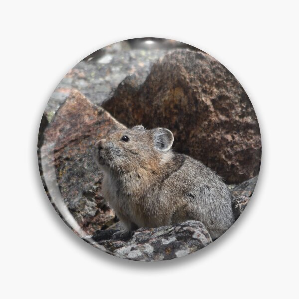 Item preview, pika on guard designed and sold by grizzbass.
