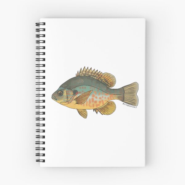 Item preview, Pumpkinseed Fish designed and sold by studiokeighls.