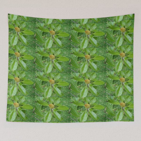 Item preview, Magnolia - before the Majesty designed and sold by KazM.