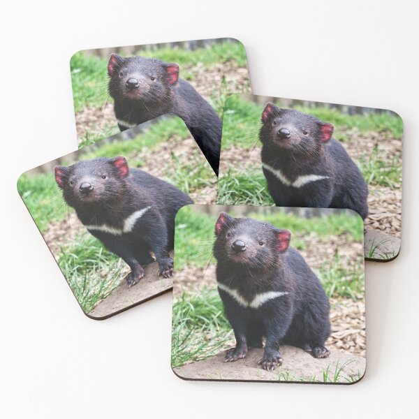 Item preview, Cheese! designed and sold by macephotography.au.