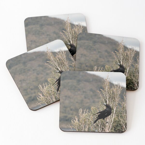 Item preview, Currawong designed and sold by macephotography.au.