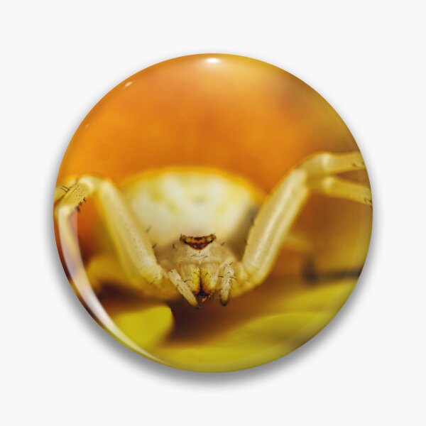 Item preview, The Eight Watchful Eyes designed and sold by macephotography.au.