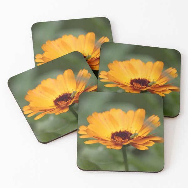 Item preview, Hidden in Bloom designed and sold by VollImKopf.