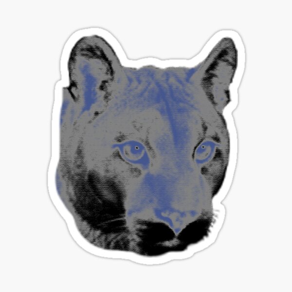 Item preview, Sea Lion on a Gray Background designed and sold by Vandara2.