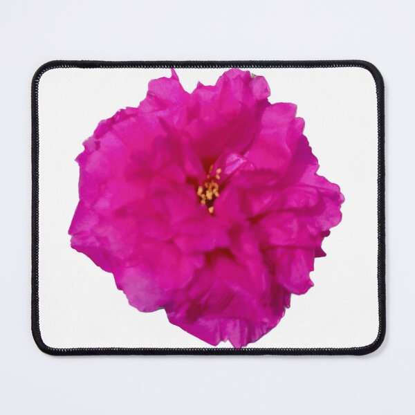 Item preview, Pink flower isolated, Moss-rose, Purslane, Portulaca Grandiflora designed and sold by pipikijung.