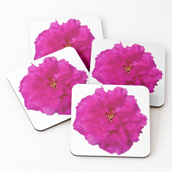 Item preview, Pink flower isolated, Moss-rose, Purslane, Portulaca Grandiflora designed and sold by pipikijung.