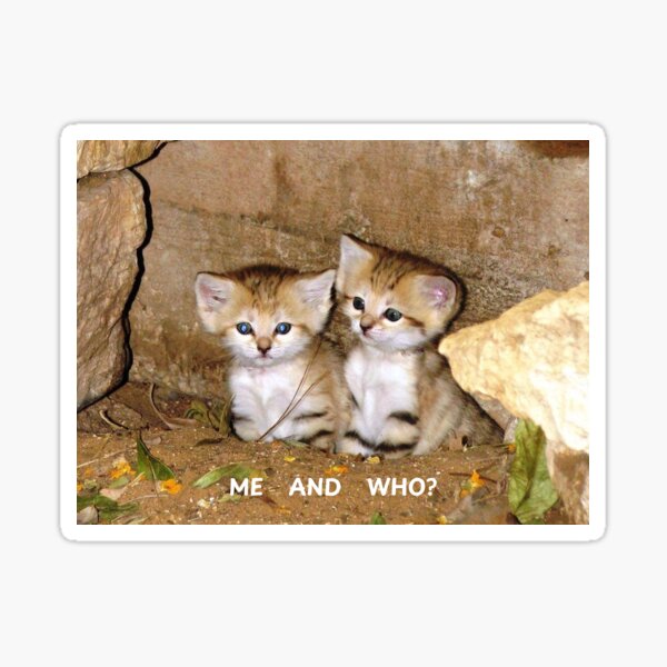 Item preview, Soft and sleepy sand cat kittens designed and sold by d0omedd.