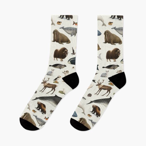 Item preview, Animals of the Arctic Illustration Chart Polar Wildlife designed and sold by kakarikihill.