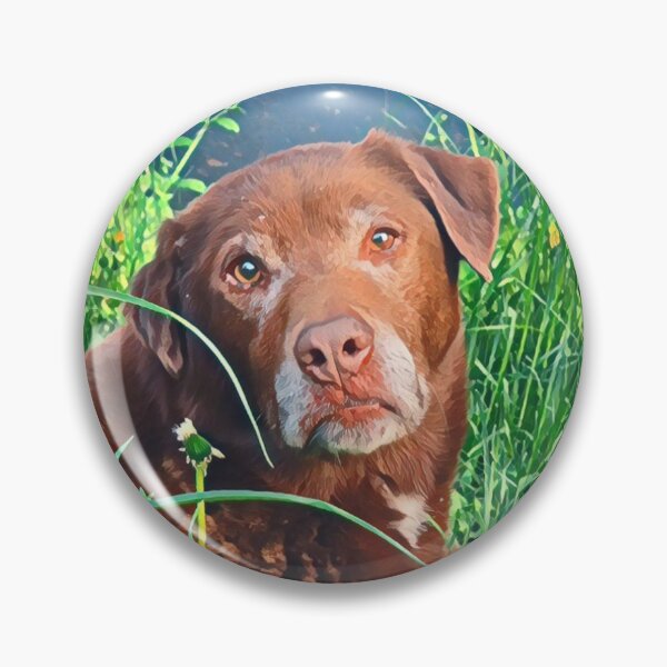 Item preview, Brown dog in grass designed and sold by Pinkgnomie.