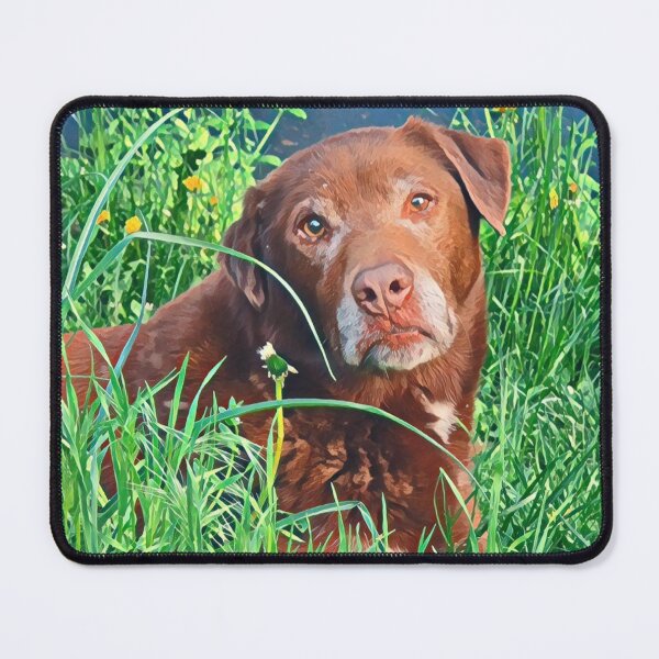 Item preview, Brown dog in grass designed and sold by Pinkgnomie.