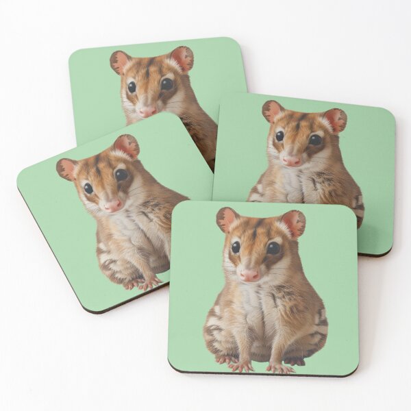 Item preview, Cute quoll designed and sold by ArtfulPlay.