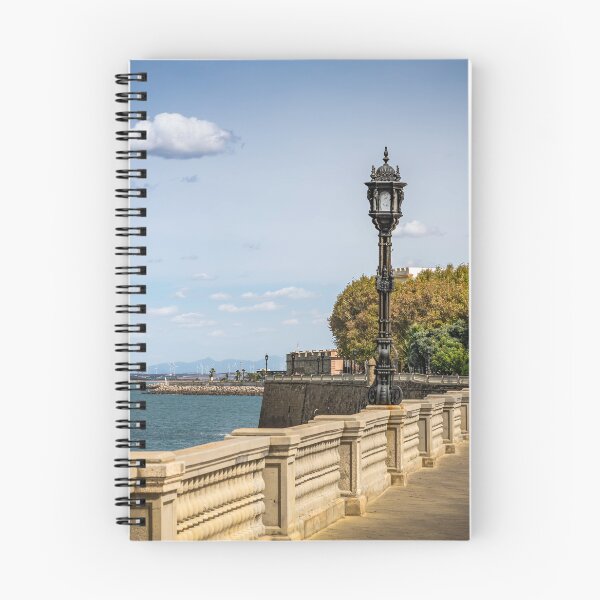 Item preview, The Sea Front at Cadiz designed and sold by Viv Thompson Photography .