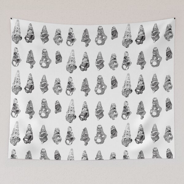 Item preview, Evolution of a Shell designed and sold by goodieg.