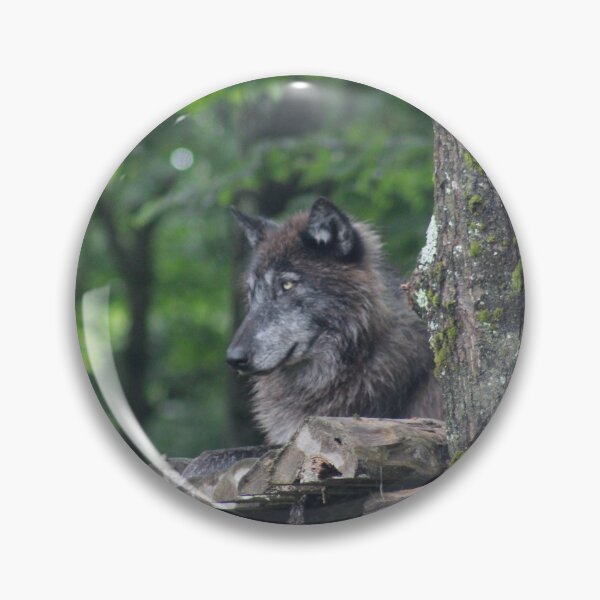 Artikelvorschau, Grauer Wolf auf Barsch entworfen und verkauft von teh604.