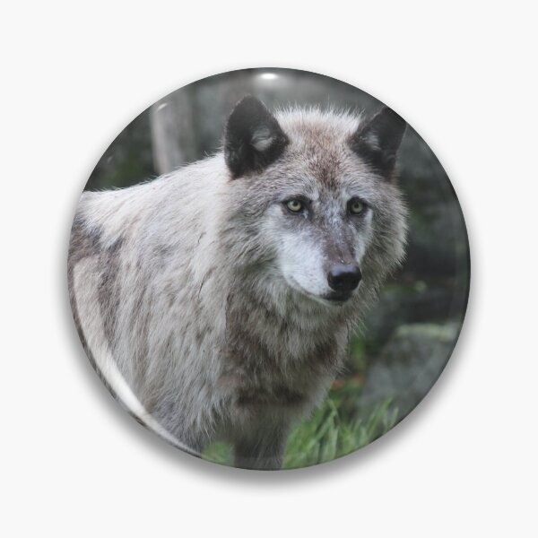 Artikelvorschau, Majestät des grauen Wolfes entworfen und verkauft von teh604.