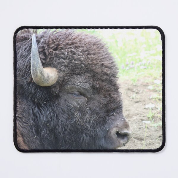 Item preview, Bison of the plains designed and sold by teh604.