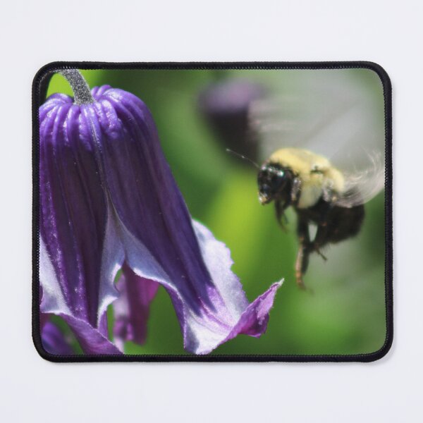 Item preview, Bee on Bluebill designed and sold by teh604.
