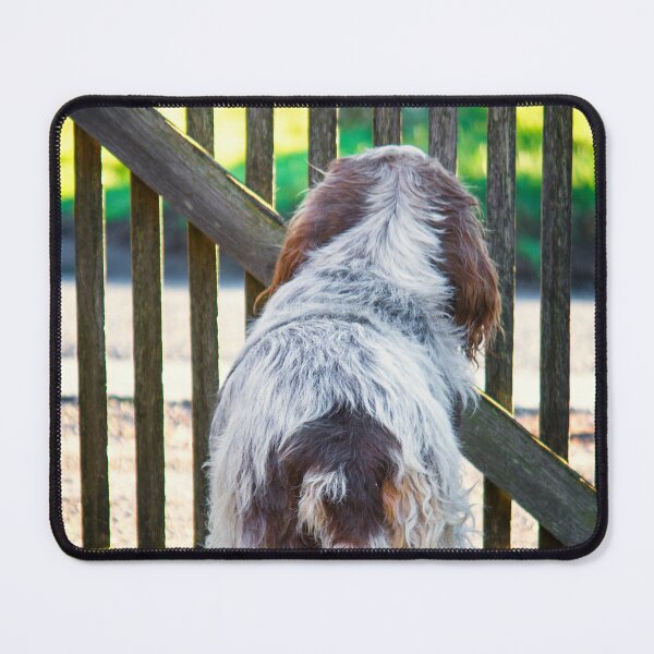 Item preview, Brown Roan Italian Spinone Dog designed and sold by FOLK ART FUSION by heidiannemorris.