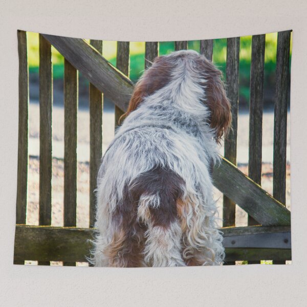 Item preview, Brown Roan Italian Spinone Dog designed and sold by FOLK ART FUSION by heidiannemorris.