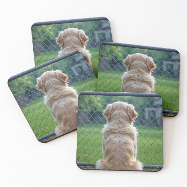 Item preview, Golden Retriever Staring Through a Chain Link Fence designed and sold by Maria Dryfhout.