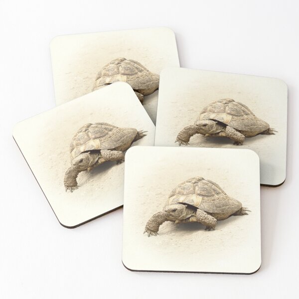 Item preview, Turtle designed and sold by Guardi71.