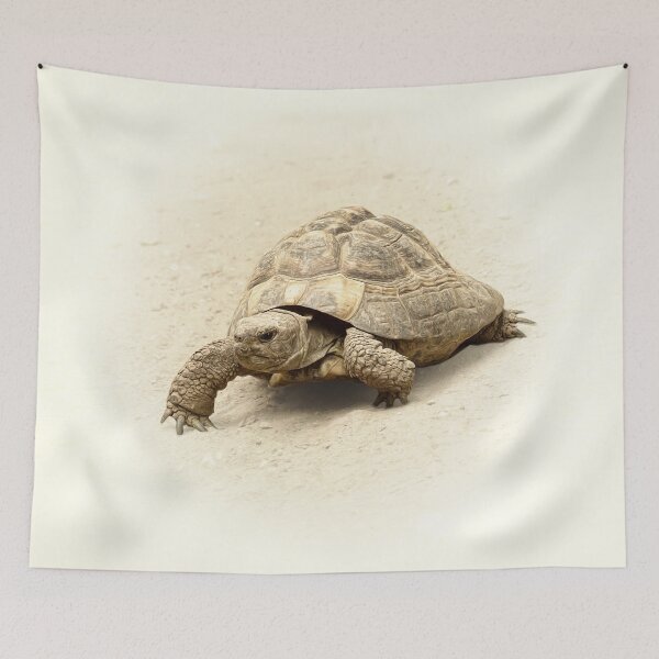 Item preview, Turtle designed and sold by Guardi71.