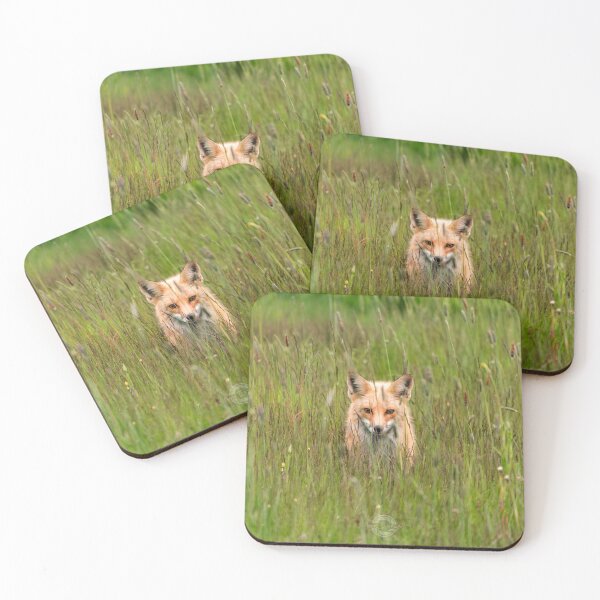 Item preview, Zorro en un campo designed and sold by ACarrigan.