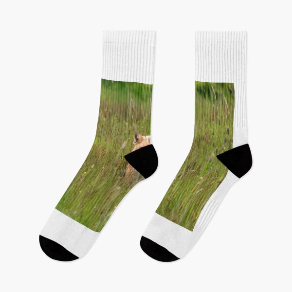 Item preview, Fox in a field designed and sold by ACarrigan.