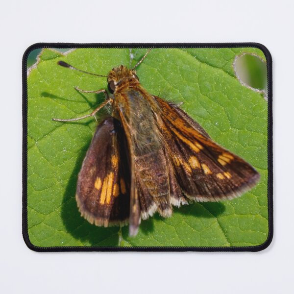 Item preview, The Pecks Skipper designed and sold by Tim Dusenberry.