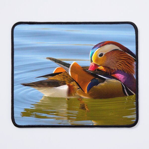 Item preview, Mandarin Duck designed and sold by Nadiacamel.