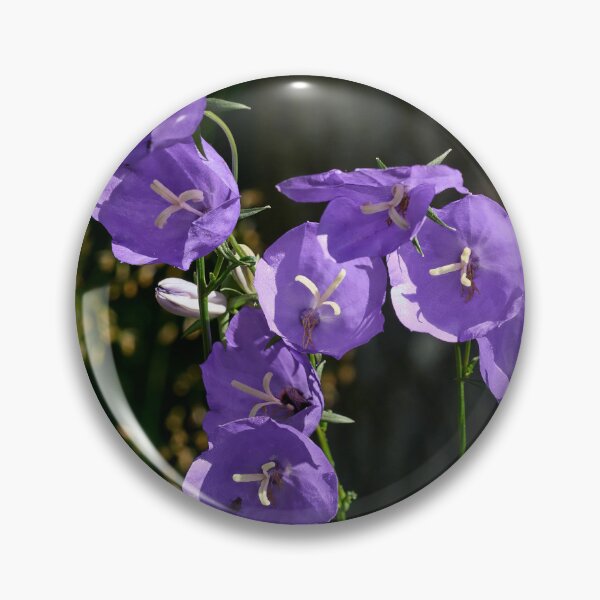 Item preview, Peach-leaved Bellflower designed and sold by Jouko Lehto Photography.