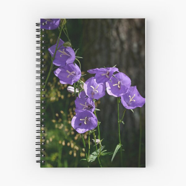 Item preview, Peach-leaved Bellflower designed and sold by Jouko Lehto Photography.